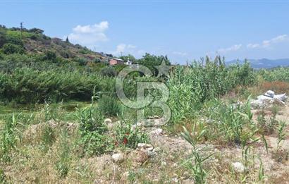 MEZİTLİ KALE'DE SATILIK LİMON BAHÇESİ