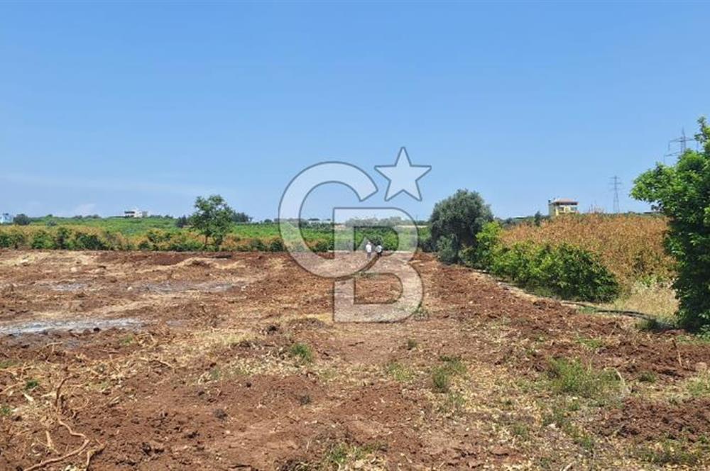 MEZİTLİ KALE'DE SATILIK LİMON BAHÇESİ
