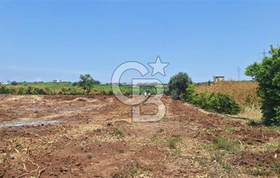MEZİTLİ KALE'DE SATILIK LİMON BAHÇESİ