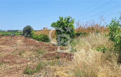 MEZİTLİ KALE'DE SATILIK LİMON BAHÇESİ