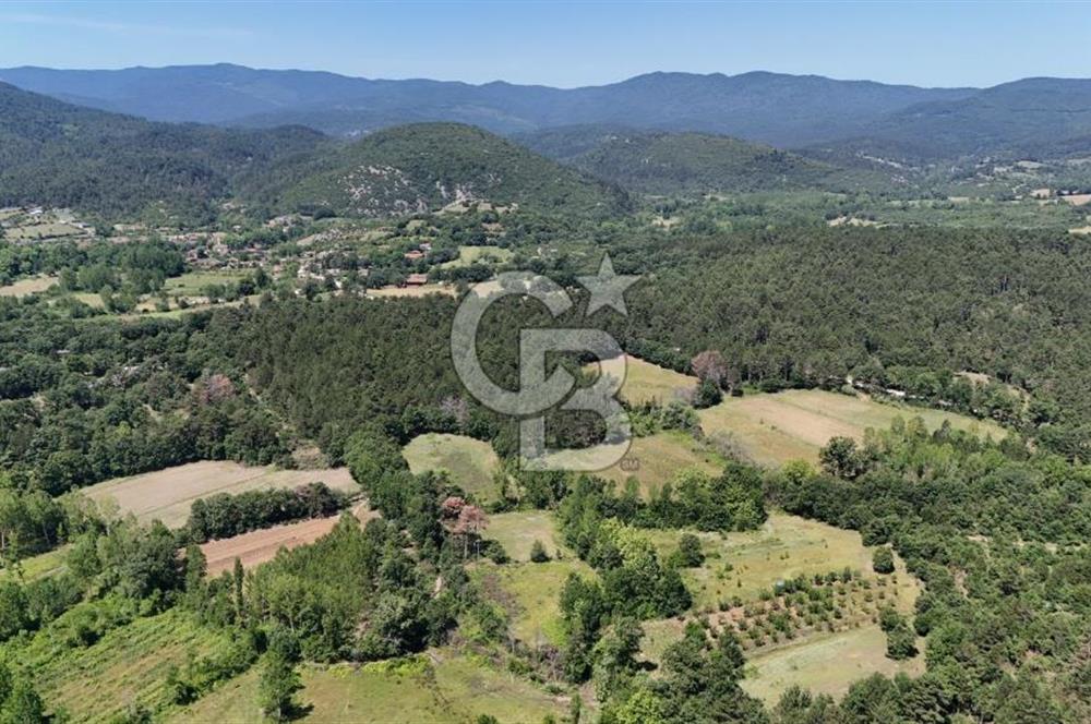 Çanakkale Yenice Aşağıçavuş Köyünde 5.101 M² Satılık Tarla !