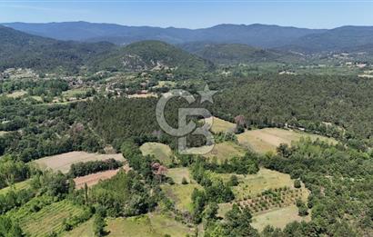 Çanakkale Yenice Aşağıçavuş Köyünde 5.101 M² Satılık Tarla !
