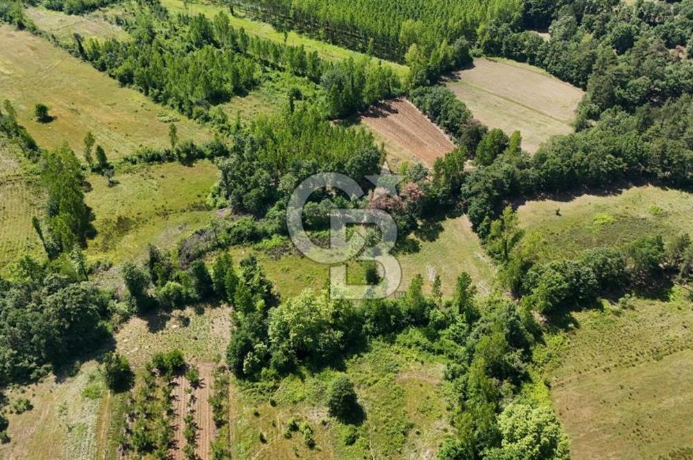 Çanakkale Yenice Aşağıçavuş Köyünde 5.101 M² Satılık Tarla !