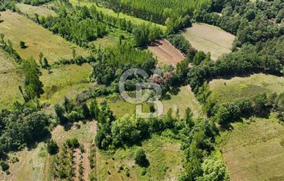 Çanakkale Yenice Aşağıçavuş Köyünde 5.101 M² Satılık Tarla !