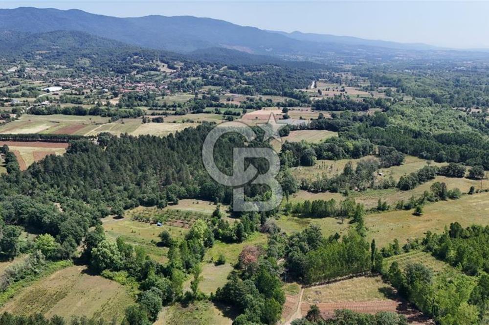 Çanakkale Yenice Aşağıçavuş Köyünde 5.101 M² Satılık Tarla !