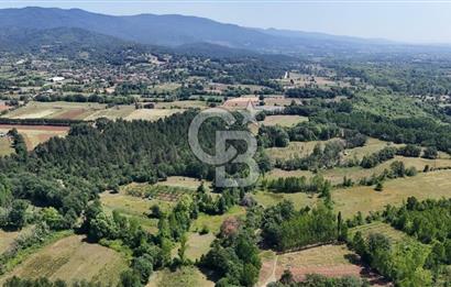 Çanakkale Yenice Aşağıçavuş Köyünde 5.101 M² Satılık Tarla !