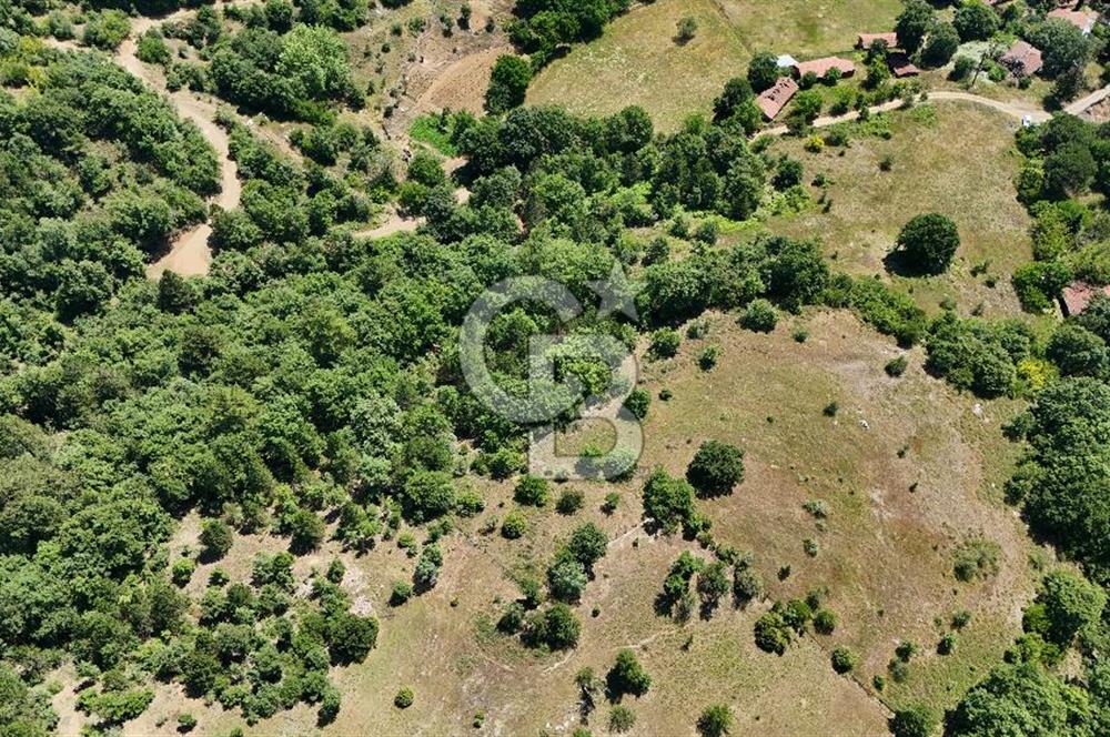 Çanakkale Yenice Oğlanalanı Köyünde 950 M² Satılık Arsa !