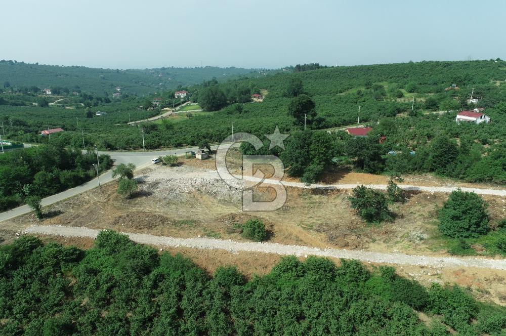 SAKARYA KOCAALİ'DE RUHSATLARI ALINMIŞ HEMEN İNŞAAT YAPILABİLİR ARAÇ TAKAS İMKANI İLE ARSA