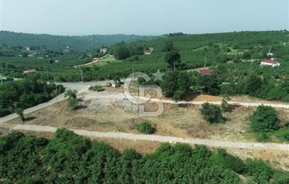 SAKARYA KOCAALİ'DE RUHSATLARI ALINMIŞ HEMEN İNŞAAT YAPILABİLİR ARAÇ TAKAS İMKANI İLE ARSA