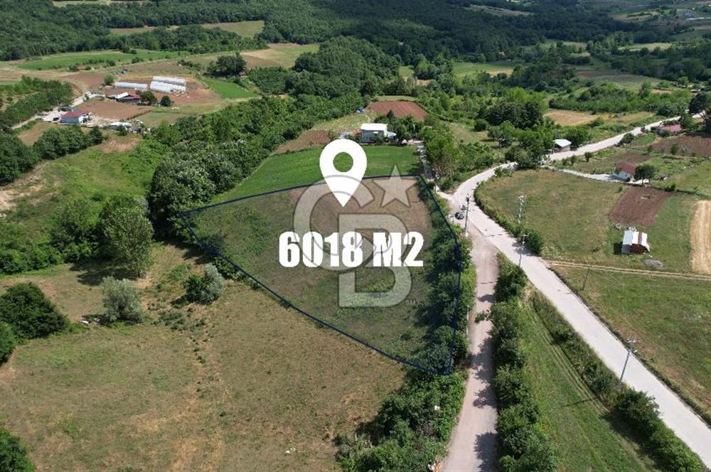 İZMİT EMİRHAN'DA KADASTRAL YOLLU %5 İMARLI 6018 m² SATILIK ARAZİ