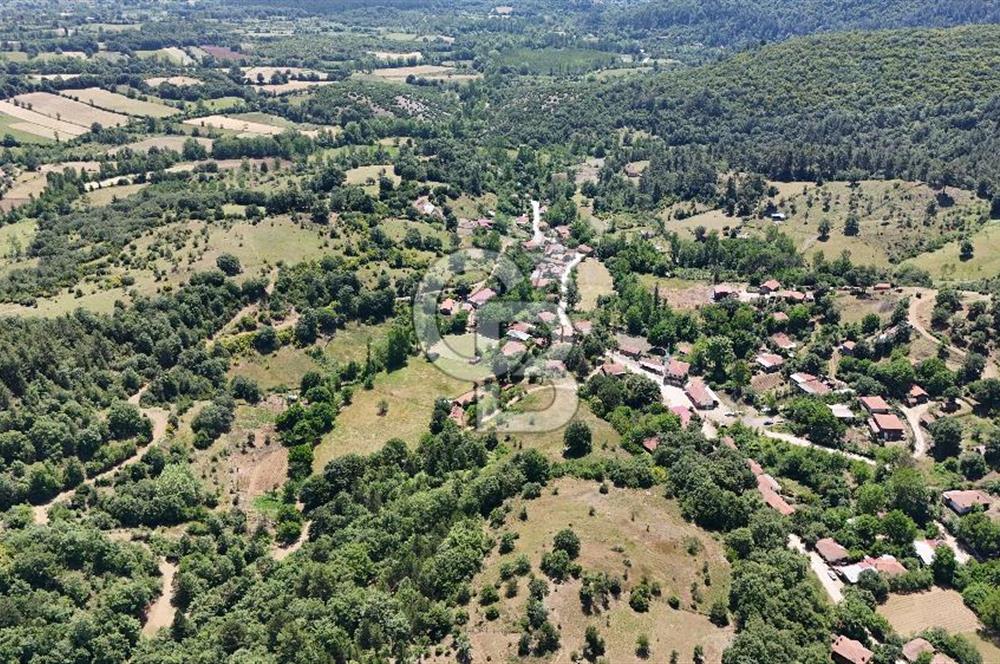 Çanakkale Yenice Oğlanalanı Köyünde 950 M² Satılık Arsa !