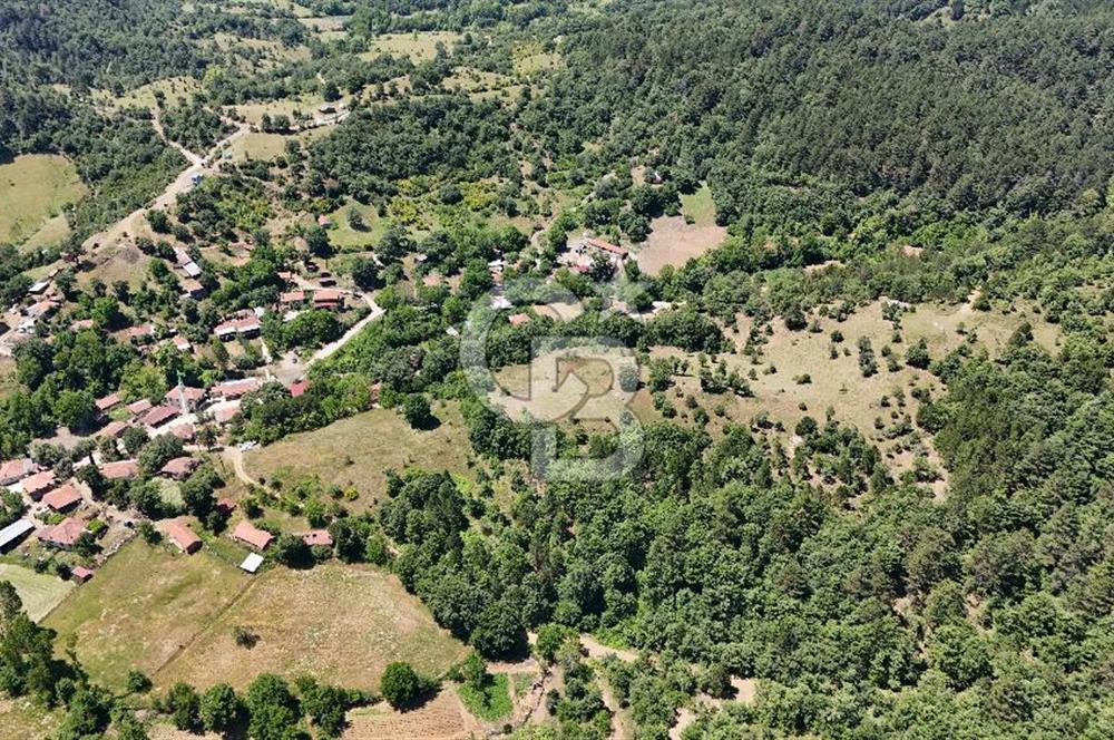Çanakkale Yenice Oğlanalanı Köyünde 950 M² Satılık Arsa !
