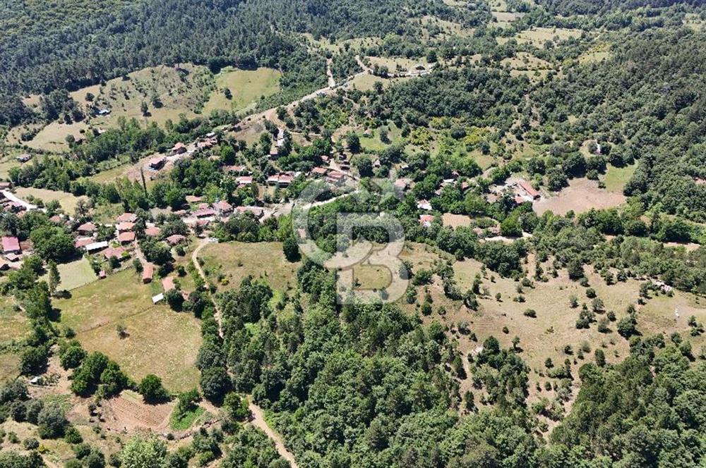 Çanakkale Yenice Oğlanalanı Köyünde 950 M² Satılık Arsa !
