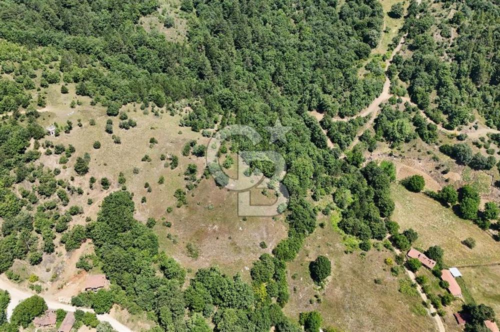 Çanakkale Yenice Oğlanalanı Köyünde 950 M² Satılık Arsa !
