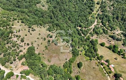 Çanakkale Yenice Oğlanalanı Köyünde 950 M² Satılık Arsa !