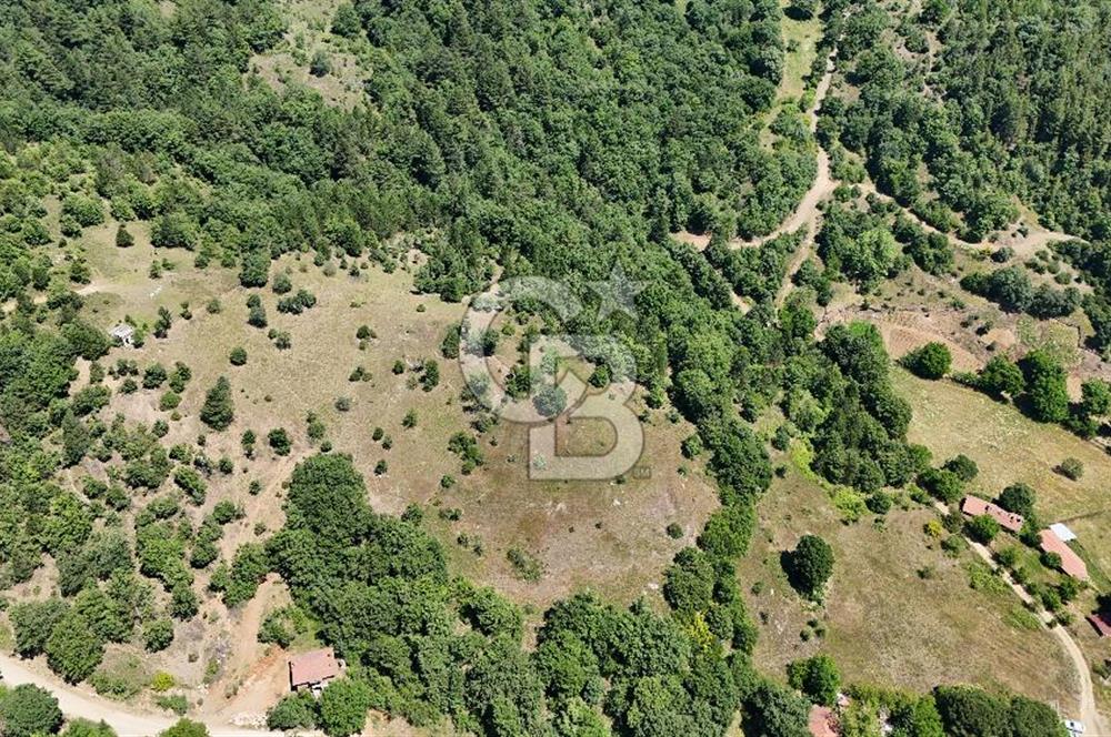 Çanakkale Yenice Oğlanalanı Köyünde 950 M² Satılık Arsa !