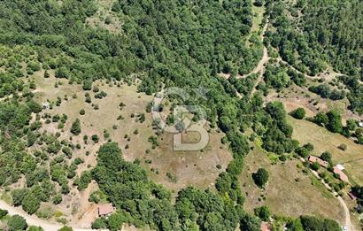 Çanakkale Yenice Oğlanalanı Köyünde 950 M² Satılık Arsa !
