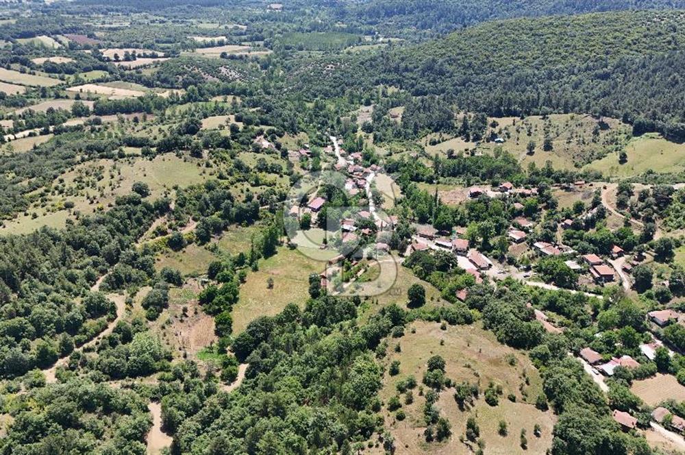 Çanakkale Yenice Oğlanalanı Köyünde 950 M² Satılık Arsa !