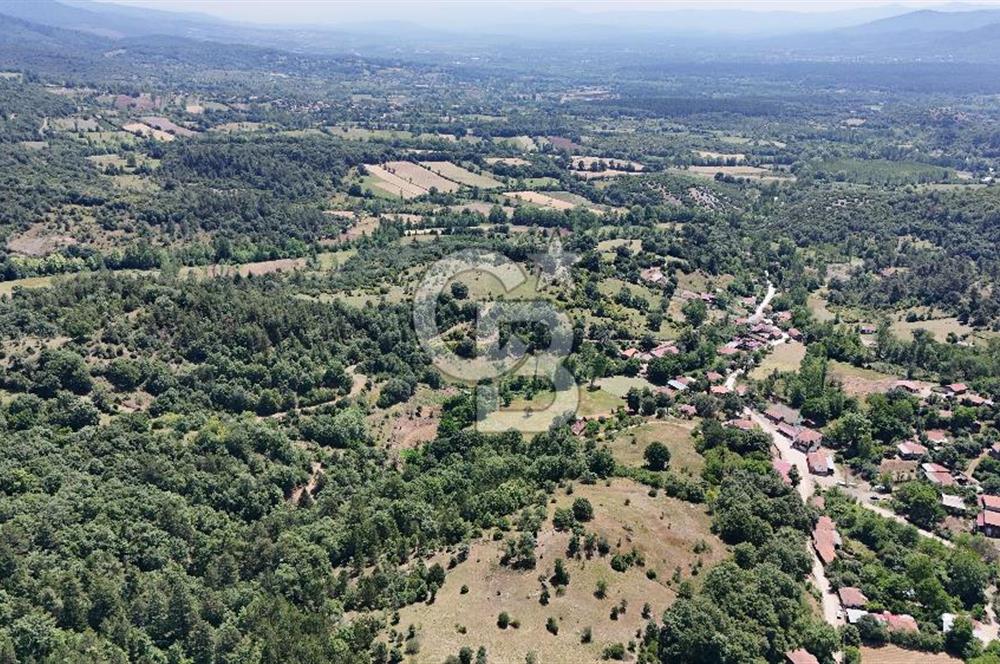 Çanakkale Yenice Oğlanalanı Köyünde 950 M² Satılık Arsa !