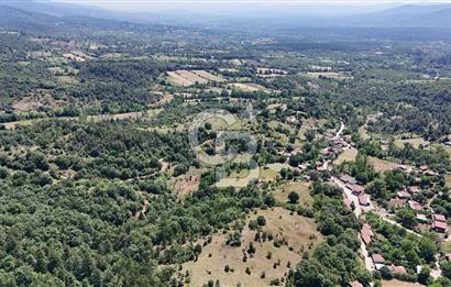 Çanakkale Yenice Oğlanalanı Köyünde 950 M² Satılık Arsa !