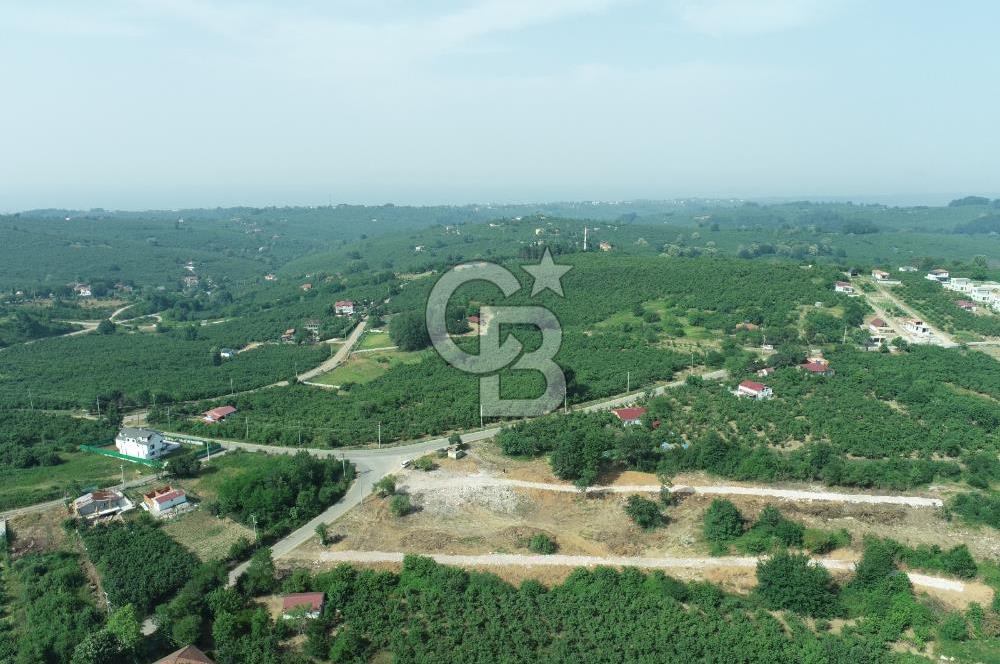 SAKARYA KOCAALİ'DE RUHSATLARI ALINMIŞ HEMEN İNŞAAT YAPILABİLİR ARAÇ TAKAS İMKANI İLE ARSA