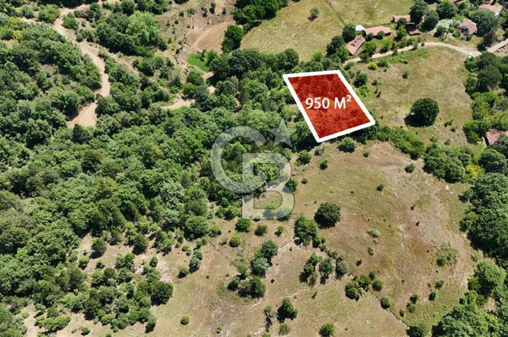 Çanakkale Yenice Oğlanalanı Köyünde 950 M² Satılık Arsa !