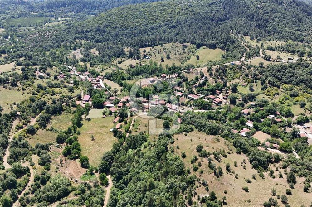Çanakkale Yenice Oğlanalanı Köyünde 950 M² Satılık Arsa !