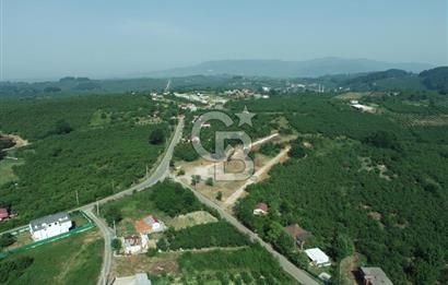 SAKARYA KOCAALİ'DE RUHSATLARI ALINMIŞ HEMEN İNŞAAT YAPILABİLİR ARAÇ TAKAS İMKANI İLE ARSA