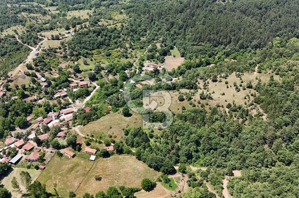 Çanakkale Yenice Oğlanalanı Köyünde 950 M² Satılık Arsa !