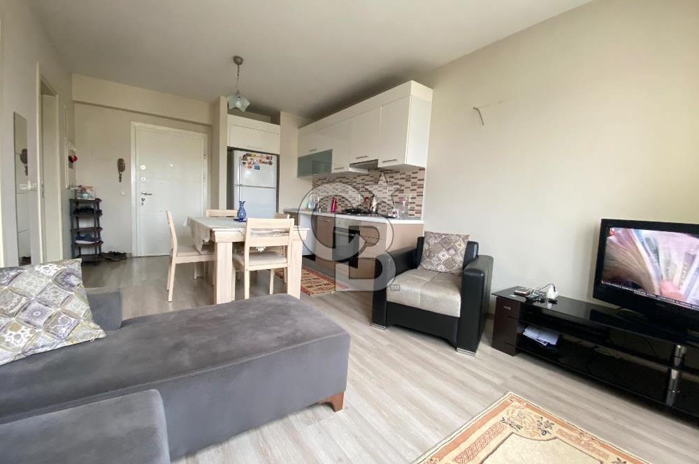 Kurtköy Yenişehir Dumankaya Cadde Eşyalı 1+1 Kiralık Daire