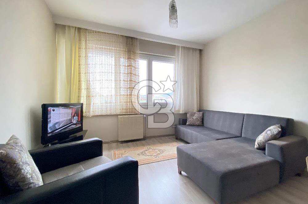Kurtköy Yenişehir Dumankaya Cadde Eşyalı 1+1 Kiralık Daire