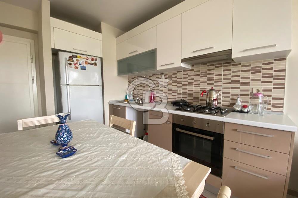 Kurtköy Yenişehir Dumankaya Cadde Eşyalı 1+1 Kiralık Daire