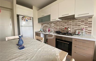 Kurtköy Yenişehir Dumankaya Cadde Eşyalı 1+1 Kiralık Daire