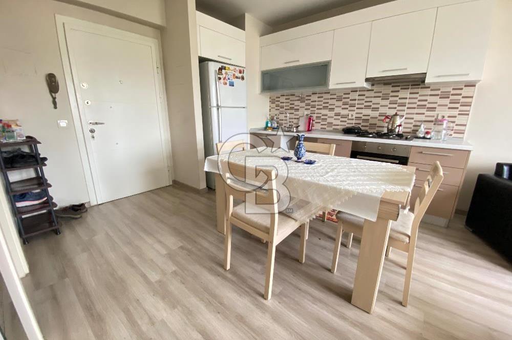 Kurtköy Yenişehir Dumankaya Cadde Eşyalı 1+1 Kiralık Daire