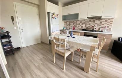 Kurtköy Yenişehir Dumankaya Cadde Eşyalı 1+1 Kiralık Daire