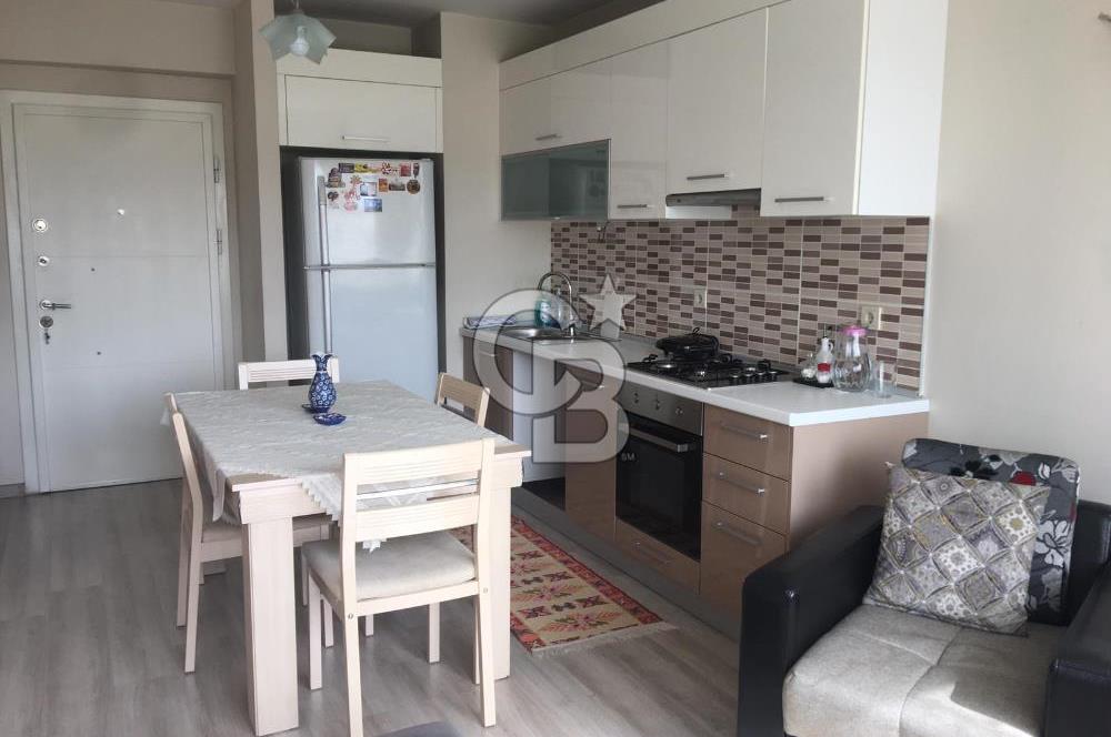 Kurtköy Yenişehir Dumankaya Cadde Eşyalı 1+1 Kiralık Daire