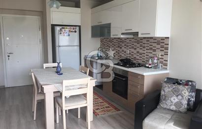 Kurtköy Yenişehir Dumankaya Cadde Eşyalı 1+1 Kiralık Daire