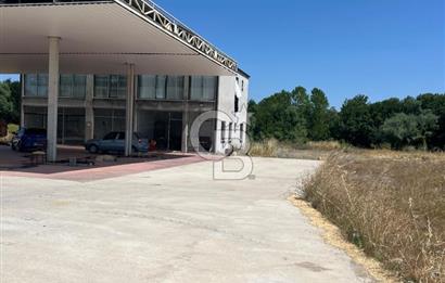 Sakarya Kaynarcada satılık sıfır aka