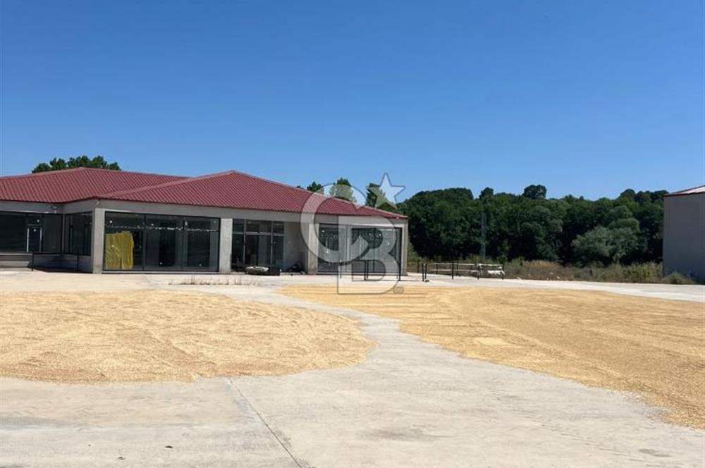 Sakarya Kaynarcada satılık sıfır aka