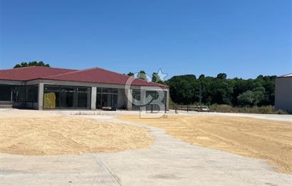 Sakarya Kaynarcada satılık sıfır aka