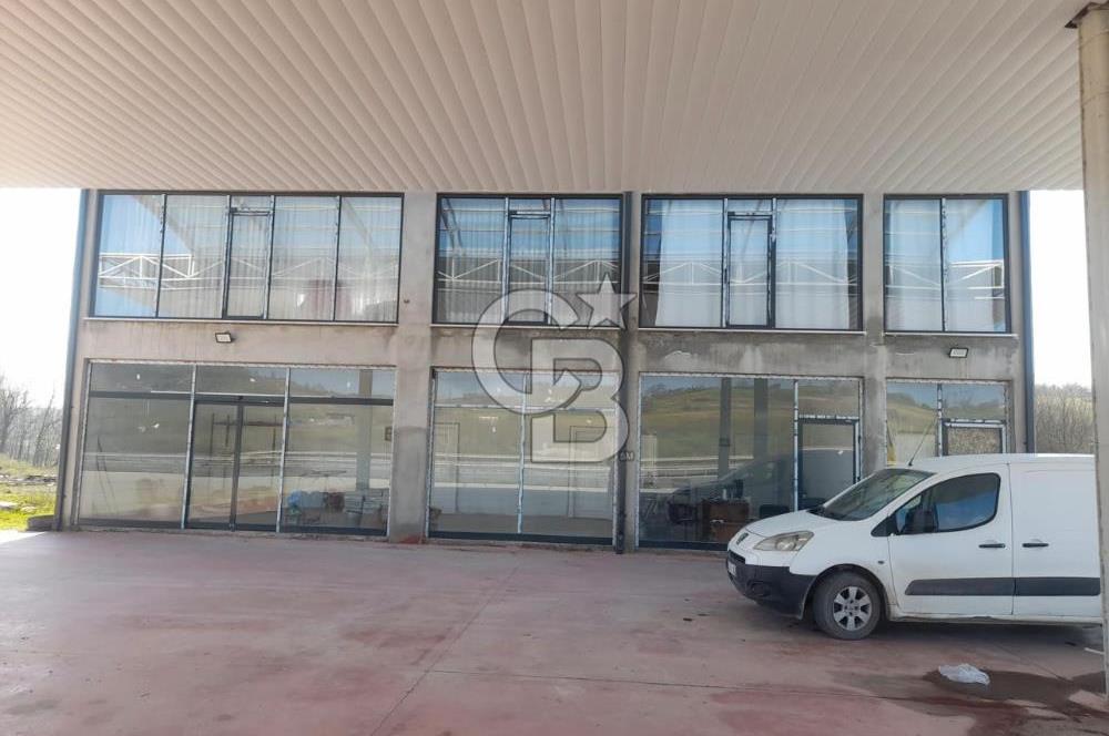 Sakarya Kaynarcada satılık sıfır aka