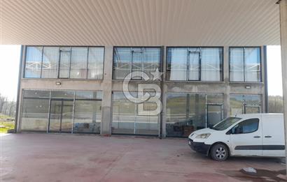 Sakarya Kaynarcada satılık sıfır aka