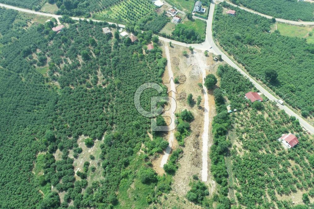 SAKARYA KOCAALİ'DE RUHSATLARI ALINMIŞ HEMEN İNŞAAT YAPILABİLİR ARAÇ TAKAS İMKANI İLE ARSA