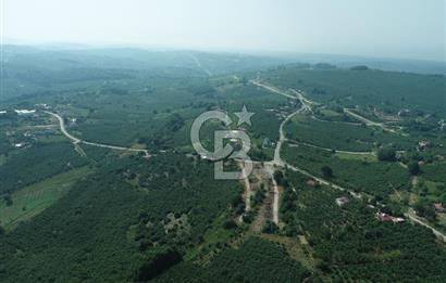 SAKARYA KOCAALİ'DE RUHSATLARI ALINMIŞ HEMEN İNŞAAT YAPILABİLİR ARAÇ TAKAS İMKANI İLE ARSA