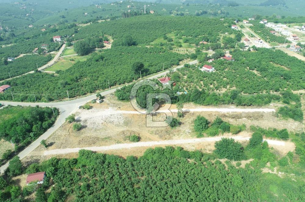SAKARYA KOCAALİ'DE RUHSATLARI ALINMIŞ HEMEN İNŞAAT YAPILABİLİR ARAÇ TAKAS İMKANI İLE ARSA