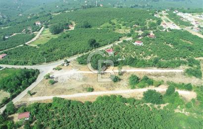 SAKARYA KOCAALİ'DE RUHSATLARI ALINMIŞ HEMEN İNŞAAT YAPILABİLİR ARAÇ TAKAS İMKANI İLE ARSA