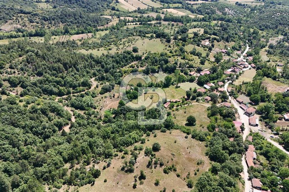 Çanakkale Yenice Oğlanalanı Köyünde 950 M² Satılık Arsa !