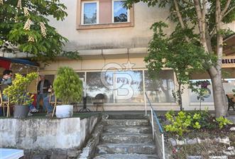 YALOVA ÇINARCIK ÇALICA KONUTLARININ MERKEZİNDE SATILIK DÜKKAN!.