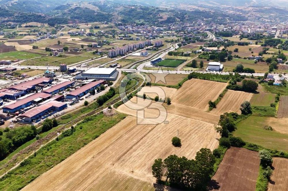 Anayol Cepheli, Sanayiye Uygun Ticari Arsa