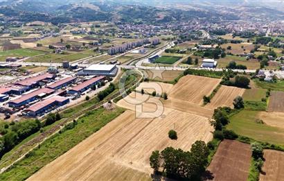 Anayol Cepheli, Sanayiye Uygun Ticari Arsa